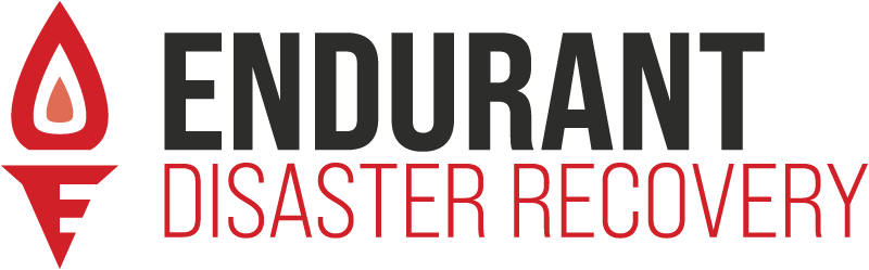Endurant Disaster Recovery